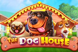 The dog house slot game